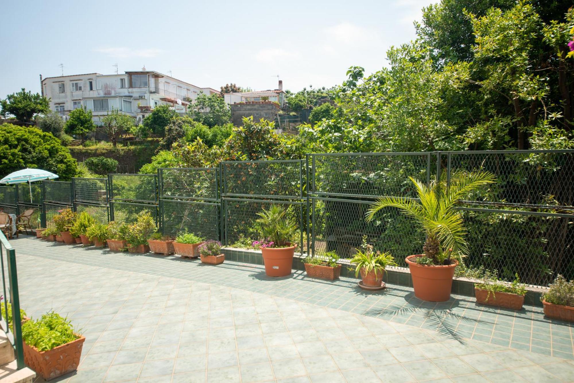 Villa Dei Sogni - Aparthotel Ischia Ponte Exterior foto